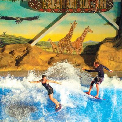 Máy tập lướt sóng OEM Flowrider với máy bơm nước 65kw và PVC mềm dai cho công viên nước 15.3m*9.3m