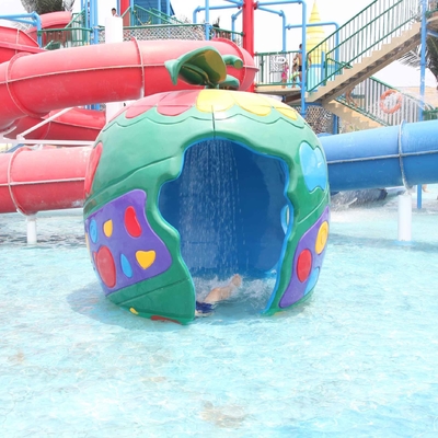 Customized Colorful Carp Spray Aqua Park Equipment For Children / Kids Fun in Swimming Pool