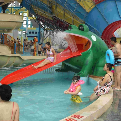 Frog Shaped Water Pool Slides , Aqua Park Fiberglass Slide Water Play Games for Water park