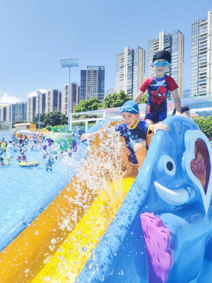 Butterfly Water Park Nghiên cứu khả thi Khu vui chơi nước cho trẻ em Thiết bị trò chơi nước để phun nước