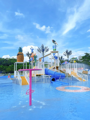 Butterfly Water Park Nghiên cứu khả thi Khu vui chơi nước cho trẻ em Thiết bị trò chơi nước để phun nước