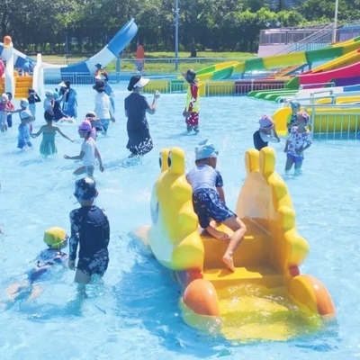 Butterfly Water Park Nghiên cứu khả thi Khu vui chơi nước cho trẻ em Thiết bị trò chơi nước để phun nước