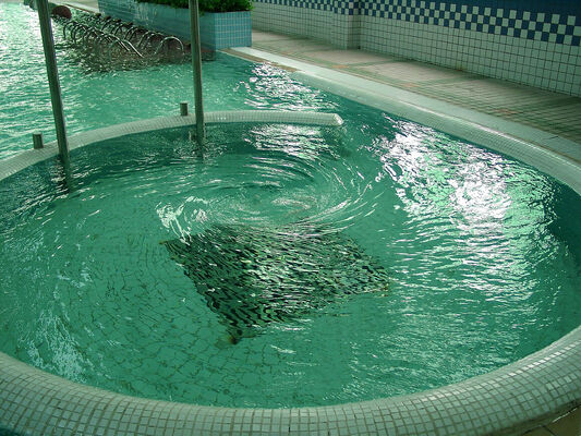 Thiết bị thủy trị liệu SPA chống ăn mòn với cấu trúc thép kẽm nóng và hệ thống điều khiển thông minh